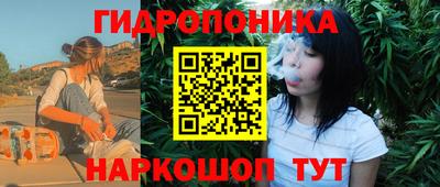 дмт Тверь