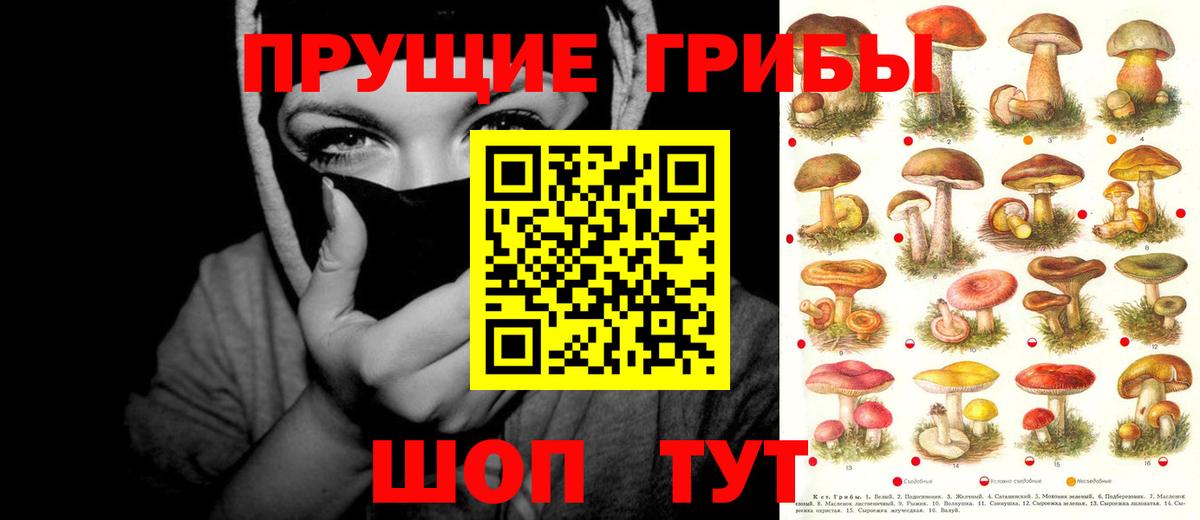 Псилоцибиновые грибы мицелий Нижний Новгород