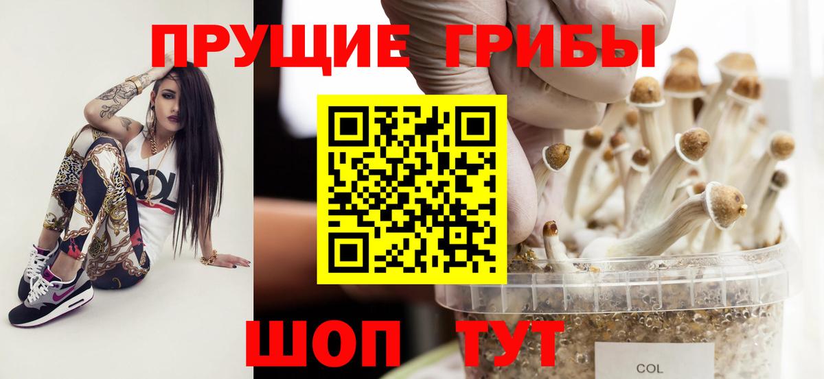 Нижний Новгород  Псилоцибиновые грибы Cubensis  Вход с VPN 